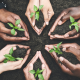 Sustainable Outsourcing How Flat Planet’s Community Investments Empower Southeast Asian Talent