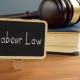 Navigating Labour Laws